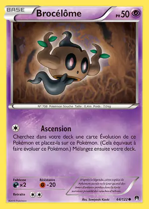 Broc&eacute;l&ocirc;me 64/122