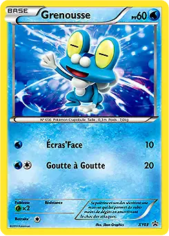 Image de la carte Pokemon Grenousse XY03/211