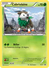 Image de la carte Cabriolaine XY11/