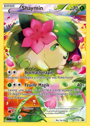 Shaymin XY115