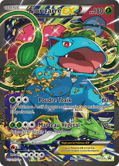 Image de la carte Pokemon Florizarre EX XY123/211