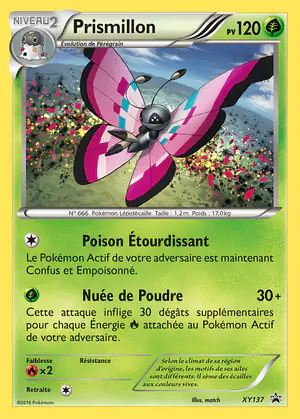 Prismillon XY137
