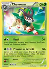 Image de la carte Chevroum XY16/