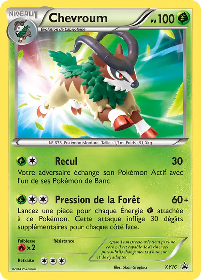 Image de la carte Pokemon Chevroum XY16/211