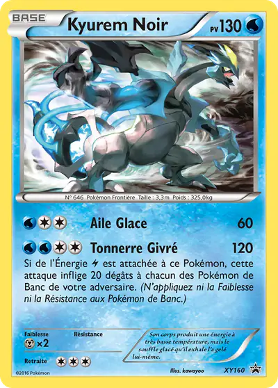 Image de la carte Pokemon Kyurem Noir XY160/211