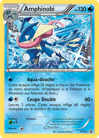 Image de la carte Pokemon Amphinobi XY162/211