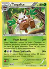 Image de la carte Tengalice XY23/
