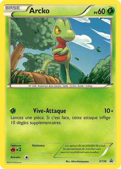 Image de la carte Pokemon Arcko XY36/211