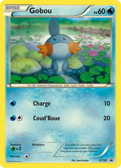 Image de la carte Pokemon Gobou XY38/211