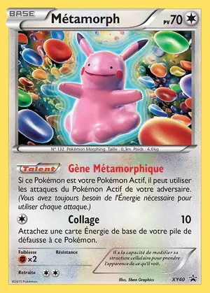 M&eacute;tamorph XY40