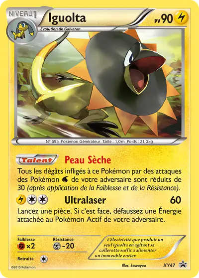 Image de la carte Pokemon Iguolta XY47/211