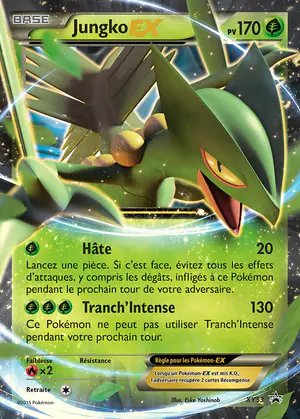 Jungko EX XY53