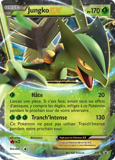 Image de la carte Pokemon Jungko EX XY53/211