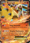 Image de la carte Braségali EX XY54/