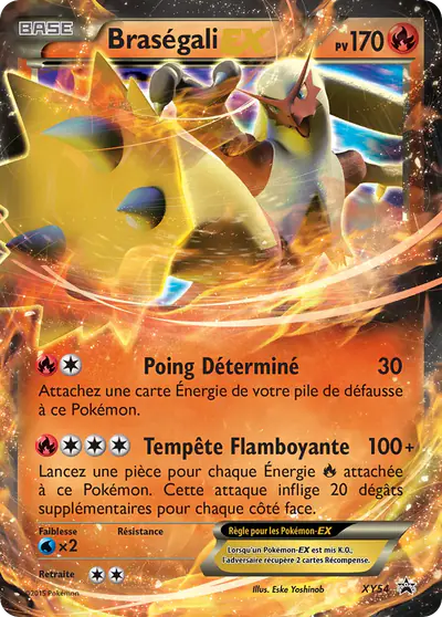 Image de la carte Pokemon Braségali EX XY54/211