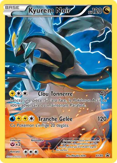Image de la carte Pokemon Kyurem Noir XY80/211