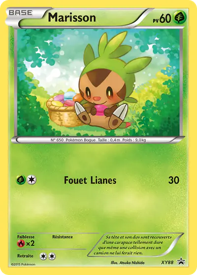 Image de la carte Pokemon Marisson XY88/211