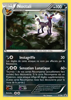 Noctali XY96