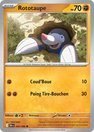 Image de la carte Pokemon Rototaupe 045/86