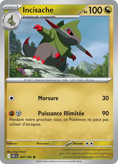Image de la carte Pokemon Incisache 069/86