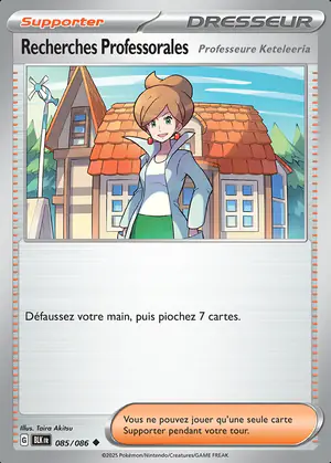 Recherches Professorales 085/086