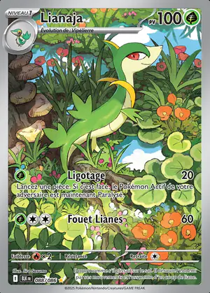 Lianaja 088/086