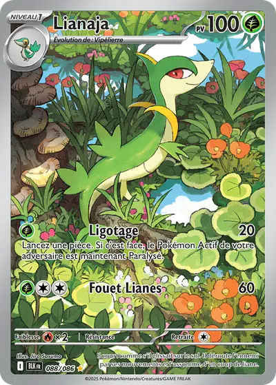 Image de la carte Pokemon Lianaja 088/86