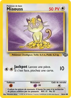 Miaouss 56/64