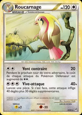 Roucarnage 30/95