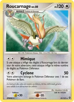 Roucarnage 35/132