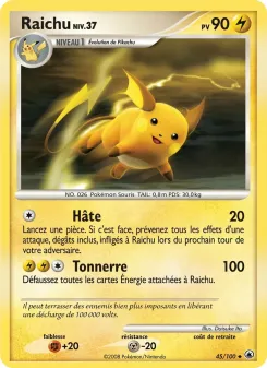 Raichu 45/100