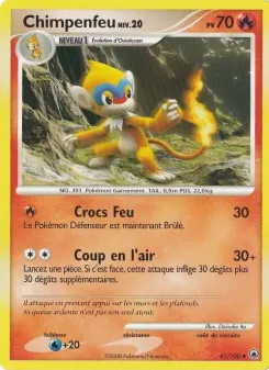Chimpenfeu 41/100