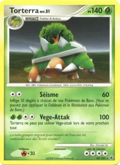 Torterra 30/100