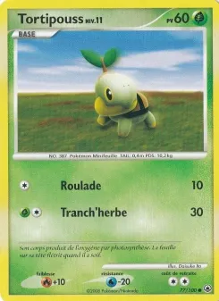 Tortipouss 77/100