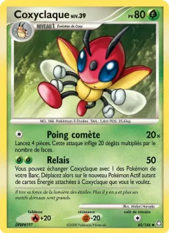 Coxyclaque 60/146