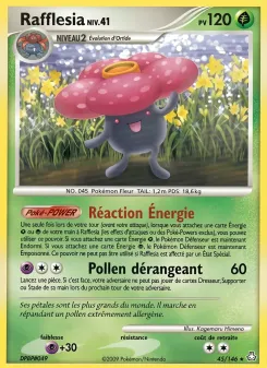 Rafflesia 45/146