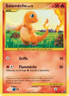 Salam&egrave;che 101/100