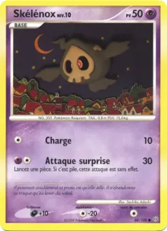 Skel&eacute;nox 60/100