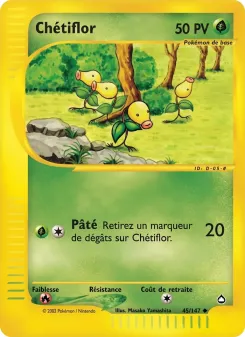 Ch&eacute;tiflor 45/147