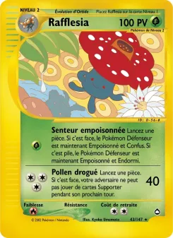 Rafflesia 43/147