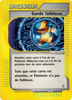 Garde faiblesse 141/147