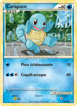 Carapuce 63/95