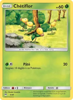Ch&eacute;tiflor 4/40