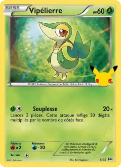 Vip&eacute;lierre 5/25