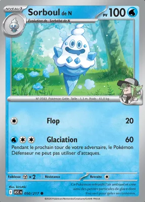 Sorboul de N 050/217