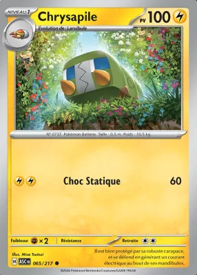Chrysapile 065/217