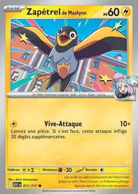 Zap&eacute;trel de Mashynn 071/217