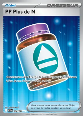 PP Plus de N 262/217