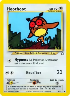 Hoothoot 60/111