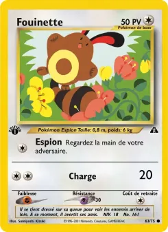 Fouinette 63/75